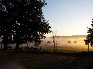 IMG_20150930_080913 (1)