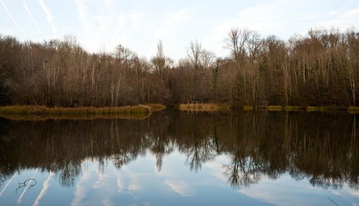 m_DSC5744-(ZF-9771-90724-1-012)